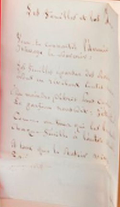 Manuscrit http-EnVente-LesFeuillesEtLesJours
